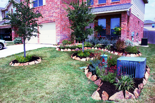 Native Flower Beds