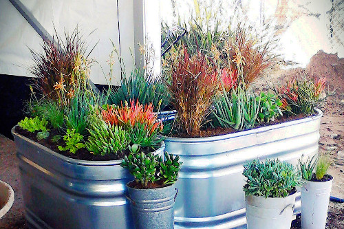 Planters
