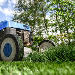 Pink Landscapes Lawn care
