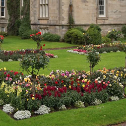 Pink Landscapes design and install